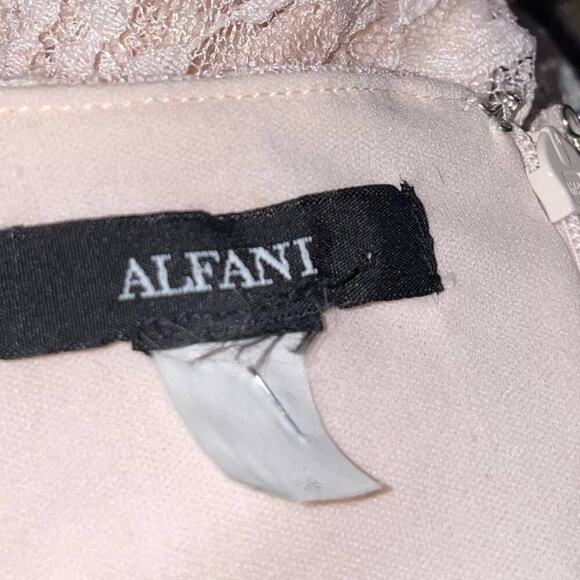 Alfani dress lace overlay pale pink knee length cap sleeve back zip SZ LG formal - Picture 4 of 8